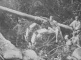 149mm_it_bw31.jpg (104040 byte)