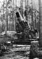 305mm_morser_23.JPG (43986 byte)