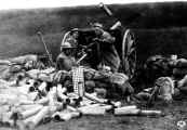 French 75mm mle1897 in US Service in action in France