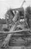 french_mle1897_33.JPG (32752 byte)