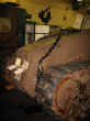 nc27.jpg (59833 byte)