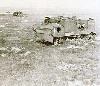 Schneider_3.jpg